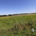 IMG_1376410