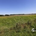IMG_1376411