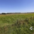 IMG_1376412