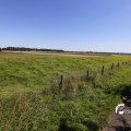 IMG_1376413