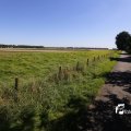 IMG_1376415