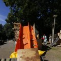 IMG_1377917
