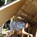 IMG_1377950