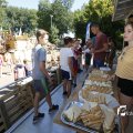 IMG_1378032