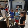 IMG_1378804