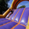 IMG_1377902