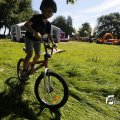 IMG_1378119
