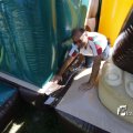 IMG_1378199