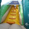 IMG_1378219