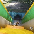 IMG_1378237