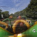 IMG_1378243