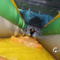 IMG_1378251