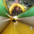 IMG_1378254
