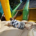 IMG_1378267