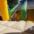 IMG_1378271