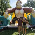 IMG_1378275