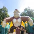 IMG_1378276
