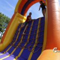 IMG_1378330