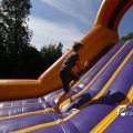 IMG_1378385