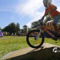 IMG_1378425