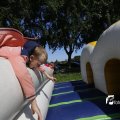 IMG_1378452