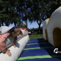 IMG_1378453
