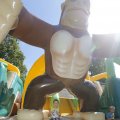 IMG_1378493