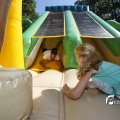 IMG_1378557