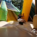 IMG_1378566