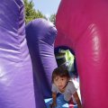 IMG_1378605