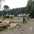 IMG_1379306