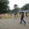IMG_1379311