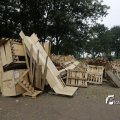 IMG_1379339