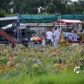 IMG_1379411