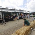 IMG_1379418