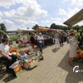 IMG_1379423