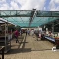 IMG_1379441