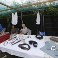 IMG_1379451