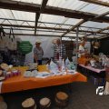 IMG_1379456