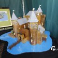 IMG_1379519