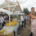 IMG_1379547