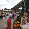 IMG_1379554