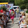 IMG_1379641