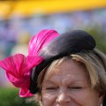 IMG_1379660