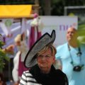 IMG_1379904