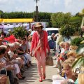 IMG_1379936