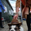 IMG_1379968