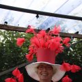 IMG_1380013
