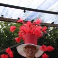 IMG_1380014