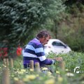 IMG_1380051